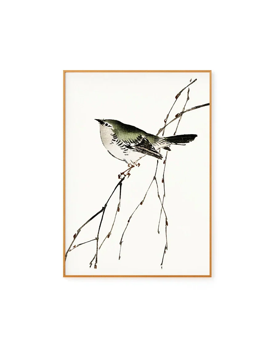 Bird Illustration by Kono Bairei