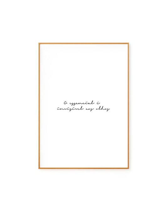 O Essencial é Invisível aos Olhos