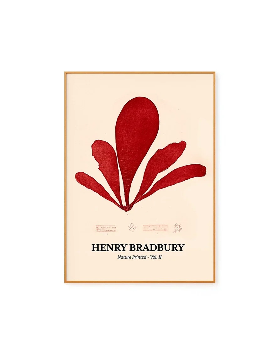 Seaweed Nº 01 - Henri Bradbury